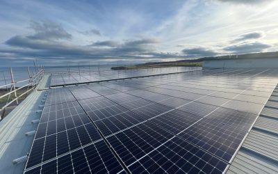Are Commercial Solar Panels Worth It?